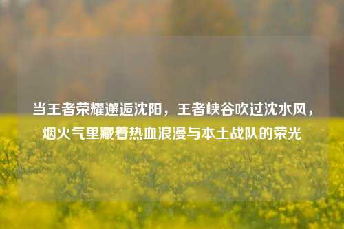 当王者荣耀邂逅沈阳,王者峡谷吹过沈水风,烟火气里藏着热血浪漫与本土战队的荣光