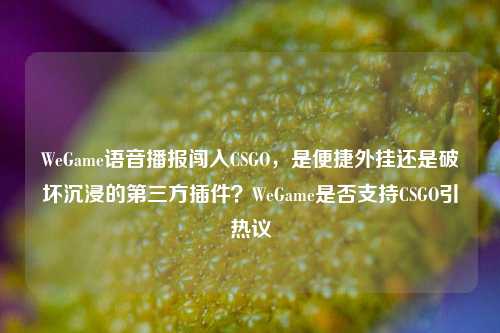 WeGame语音播报闯入CSGO，是便捷外挂还是破坏沉浸的第三方插件？WeGame是否支持CSGO引热议