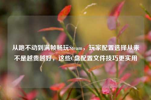 从跑不动到满帧畅玩Steam，玩家配置选择从来不是越贵越好，这些C盘配置文件技巧更实用