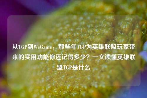 从TGP到WeGame，那些年TGP为英雄联盟玩家带来的实用功能你还记得多少？一文读懂英雄联盟TGP是什么