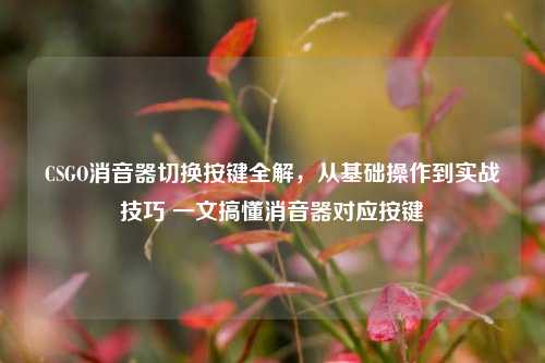 CSGO消音器切换按键全解,从基础操作到实战技巧 一文搞懂消音器对应按键
