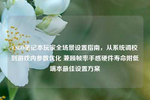 CSGO笔记本玩家全场景设置指南,从系统调校到游戏内参数优化 兼顾帧率手感硬件寿命附低端本最佳设置方案