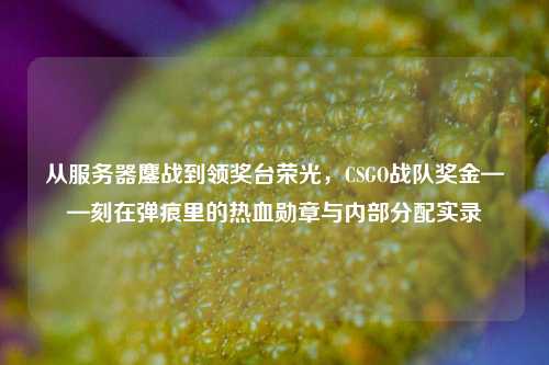 从服务器鏖战到领奖台荣光,CSGO战队奖金——刻在弹痕里的热血勋章与内部分配实录