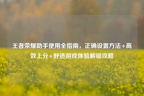 王者荣耀助手使用全指南，正确设置方法+高效上分+舒适游戏体验解锁攻略