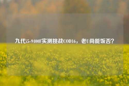 九代i5-9400F实测挑战COD16,老U尚能饭否?