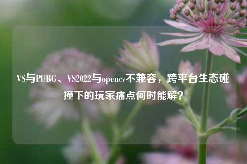 VS与PUBG、VS2022与opencv不兼容,跨平台生态碰撞下的玩家痛点何时能解?