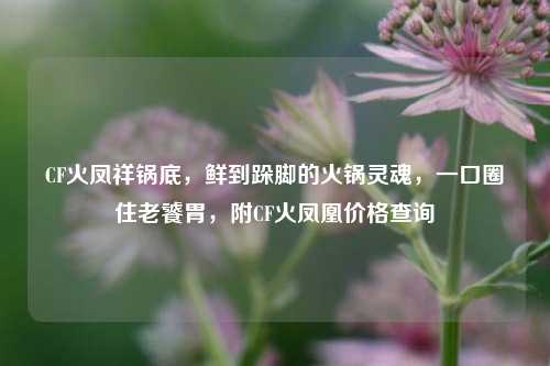 CF火凤祥锅底，鲜到跺脚的火锅灵魂，一口圈住老饕胃，附CF火凤凰价格查询