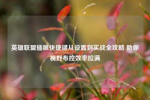 英雄联盟插眼快捷键从设置到实战全攻略 助你视野布控效率拉满