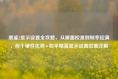 黑鲨2显示设置全攻略，从画面校准到帧率拉满，榨干硬件优势+和平精英显示设置位置详解