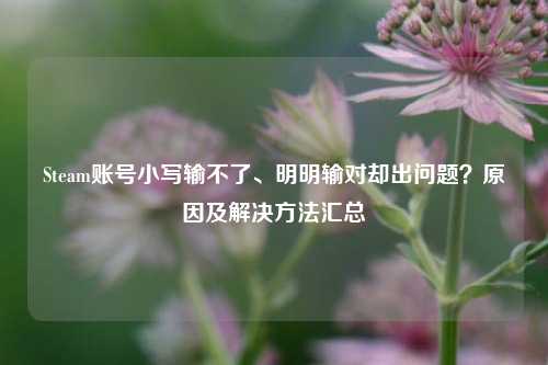 Steam账号小写输不了、明明输对却出问题？原因及解决方法汇总