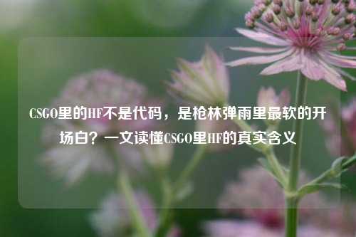 CSGO里的HF不是代码,是枪林弹雨里最软的开场白?一文读懂CSGO里HF的真实含义