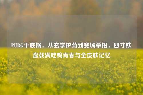 PUBG平底锅,从玄学护菊到赛场杀招,四寸铁盘载满吃鸡青春与全皮肤记忆