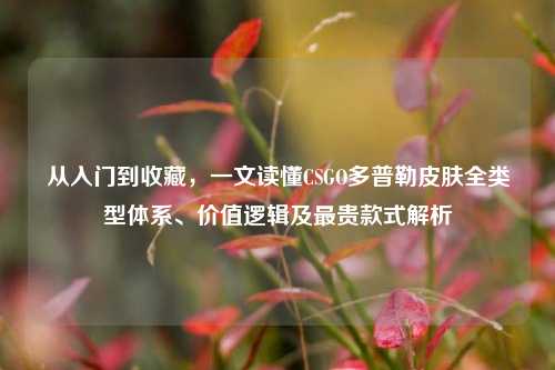 从入门到收藏，一文读懂CSGO多普勒皮肤全类型体系、价值逻辑及最贵款式解析