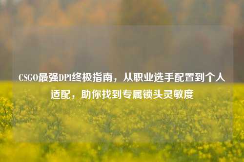 CSGO最强DPI终极指南,从职业选手配置到个人适配,助你找到专属锁头灵敏度