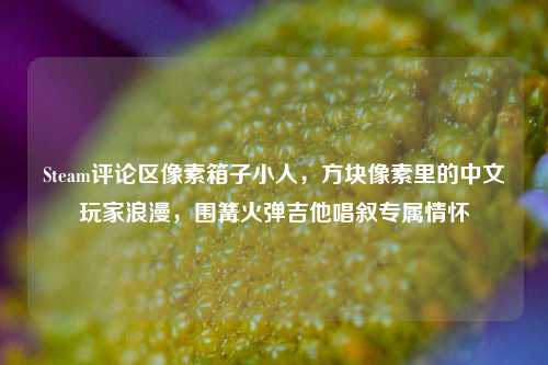 Steam评论区像素箱子小人，方块像素里的中文玩家浪漫，围篝火弹吉他唱叙专属情怀