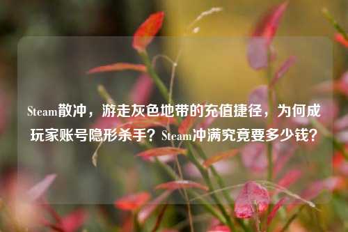 Steam散冲,游走灰色地带的充值捷径,为何成玩家账号隐形杀手?Steam冲满究竟要多少钱?