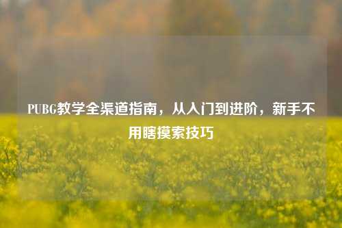 PUBG教学全渠道指南，从入门到进阶，新手不用瞎摸索技巧