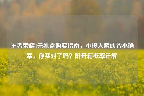 王者荣耀1元礼盒购买指南，小投入藏峡谷小确幸，你买对了吗？附开箱概率详解