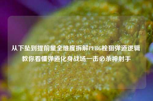 从下坠到提前量全维度拆解PUBG栓狙弹道逻辑 教你看懂弹道化身战场一击必杀神射手