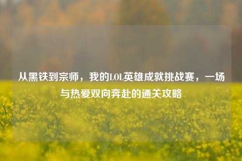 从黑铁到宗师,我的LOL英雄成就挑战赛,一场与热爱双向奔赴的通关攻略