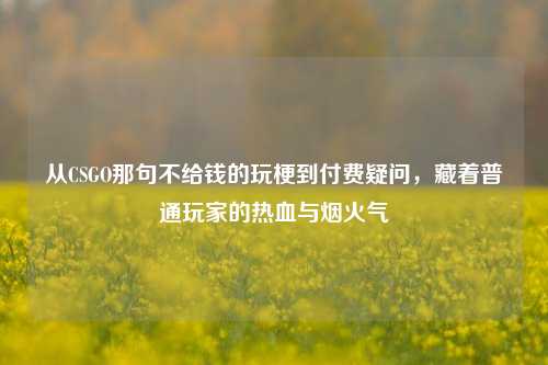 从CSGO那句不给钱的玩梗到付费疑问，藏着普通玩家的热血与烟火气