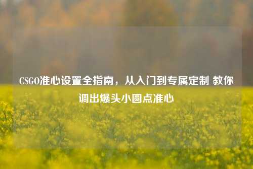 CSGO准心设置全指南,从入门到专属定制 教你调出爆头小圆点准心