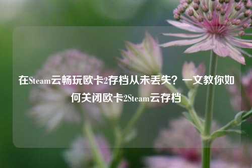 在Steam云畅玩欧卡2存档从未丢失?一文教你如何关闭欧卡2Steam云存档