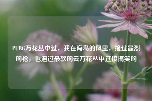 PUBG万花丛中过,我在海岛的风里,捡过最烈的枪,也遇过最软的云万花丛中过接搞笑的