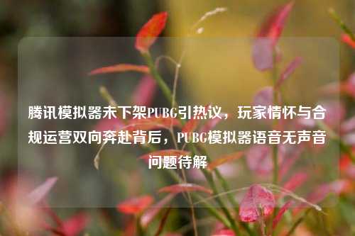 腾讯模拟器未下架PUBG引热议，玩家情怀与合规运营双向奔赴背后，PUBG模拟器语音无声音问题待解