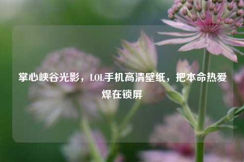 掌心峡谷光影,LOL手机高清壁纸,把本命热爱焊在锁屏