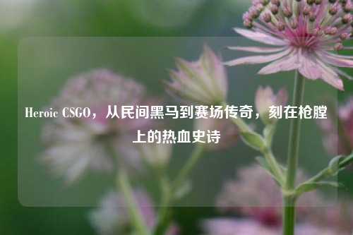 Heroic CSGO,从民间黑马到赛场传奇,刻在枪膛上的热血史诗