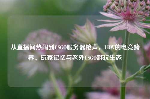 从直播间热闹到CSGO服务器枪声，LBW的电竞跨界、玩家记忆与老外CSGO游玩生态