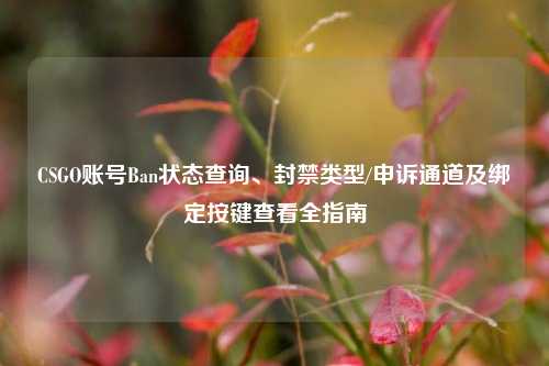 CSGO账号Ban状态查询、封禁类型/申诉通道及绑定按键查看全指南