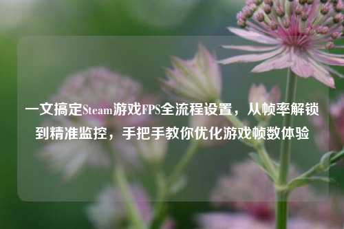 一文搞定Steam游戏FPS全流程设置,从帧率解锁到精准监控,手把手教你优化游戏帧数体验
