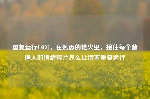 重复运行CSGO，在熟悉的枪火里，接住每个普通人的情绪碎片怎么让活塞重复运行