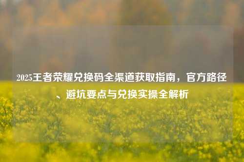 2025王者荣耀兑换码全渠道获取指南，官方路径、避坑要点与兑换实操全解析
