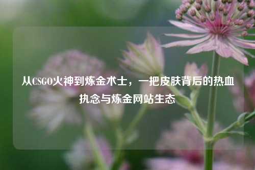 从CSGO火神到炼金术士，一把皮肤背后的热血执念与炼金网站生态