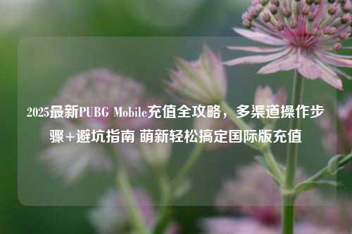 2025最新PUBG Mobile充值全攻略,多渠道操作步骤+避坑指南 萌新轻松搞定国际版充值