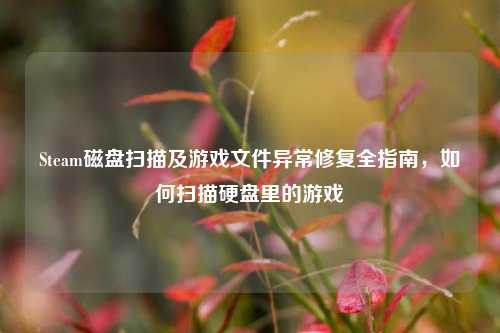 Steam磁盘扫描及游戏文件异常修复全指南，如何扫描硬盘里的游戏