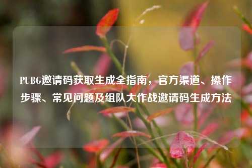 PUBG邀请码获取生成全指南,官方渠道、操作步骤、常见问题及组队大作战邀请码生成方法