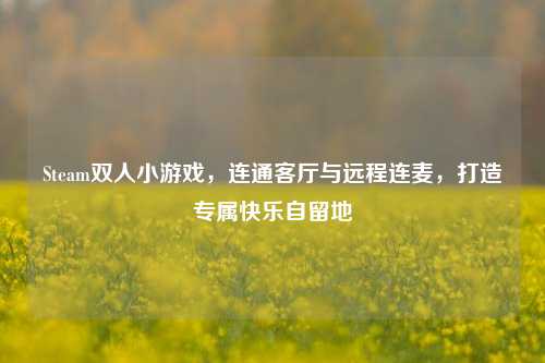 Steam双人小游戏，连通客厅与远程连麦，打造专属快乐自留地