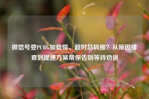 微信号登PUBG加载慢、超时总转圈？从原因排查到提速方案帮你告别等待劝退