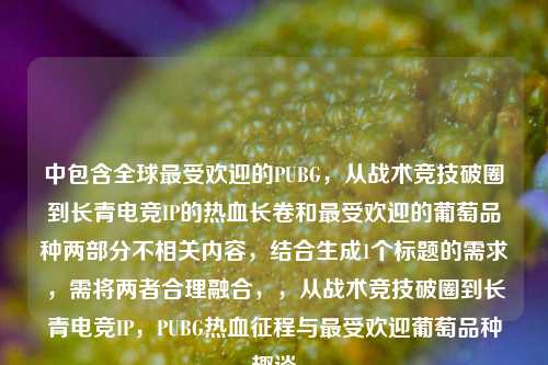 中包含全球最受欢迎的PUBG，从战术竞技破圈到长青电竞IP的热血长卷和最受欢迎的葡萄品种两部分不相关内容，结合生成1个标题的需求，需将两者合理融合，，从战术竞技破圈到长青电竞IP，PUBG热血征程与最受欢迎葡萄品种趣谈