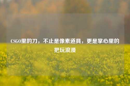 CSGO里的刀，不止是像素道具，更是掌心里的把玩浪漫
