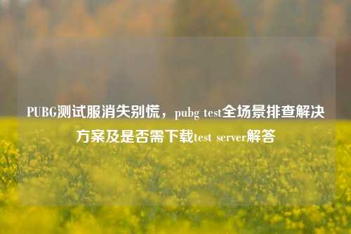 PUBG测试服消失别慌，pubg test全场景排查解决方案及是否需下载test server解答