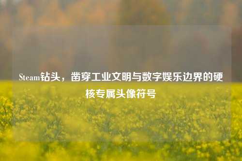 Steam钻头,凿穿工业文明与数字娱乐边界的硬核专属头像符号