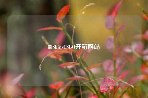 88SkinsCSGO开箱网站