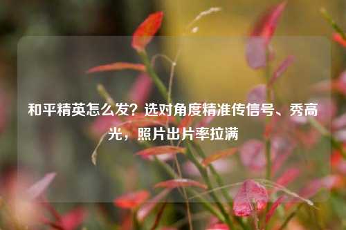和平精英怎么发?选对角度精准传信号、秀高光,照片出片率拉满