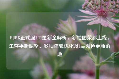 PUBG正式服1.11更新全解析,新地图荣都上线,生存平衡调整、多项体验优化及1ms频道更新落地