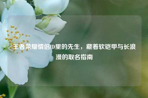 王者荣耀情侣ID里的先生，藏着软铠甲与长浪漫的取名指南